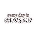 Fur Elise Every Day Is Caturday Sticker
