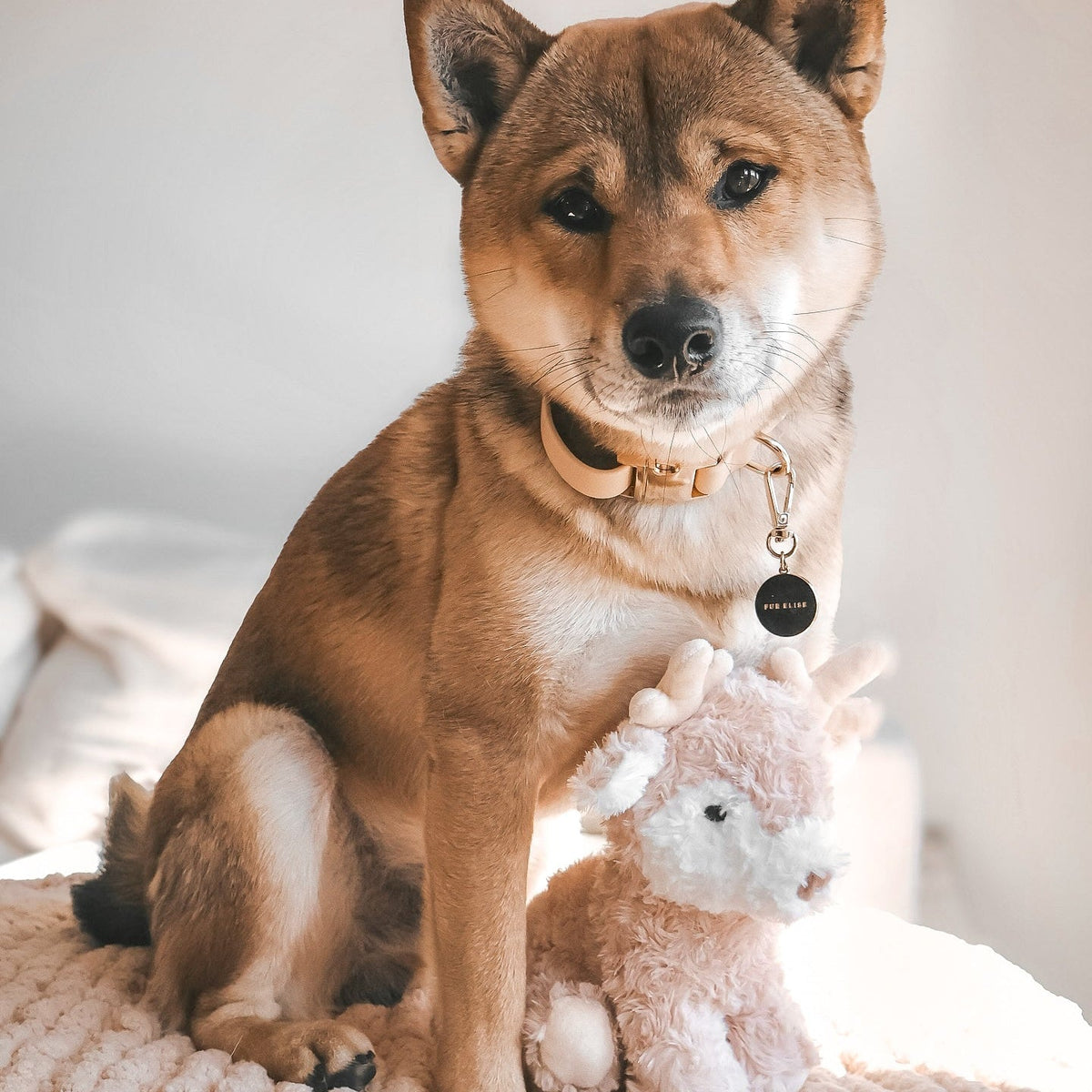 Fur Elise Vixi Plush Toy Set