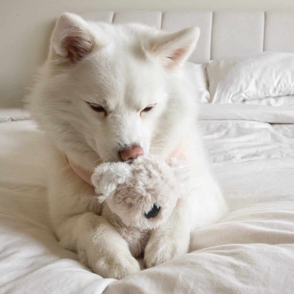 Fur Elise Koko Plush Toy Set