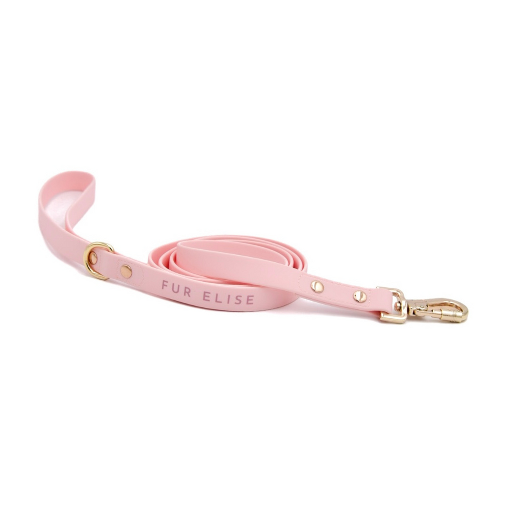Fur Elise On-the-Go Walk Set - Rose
