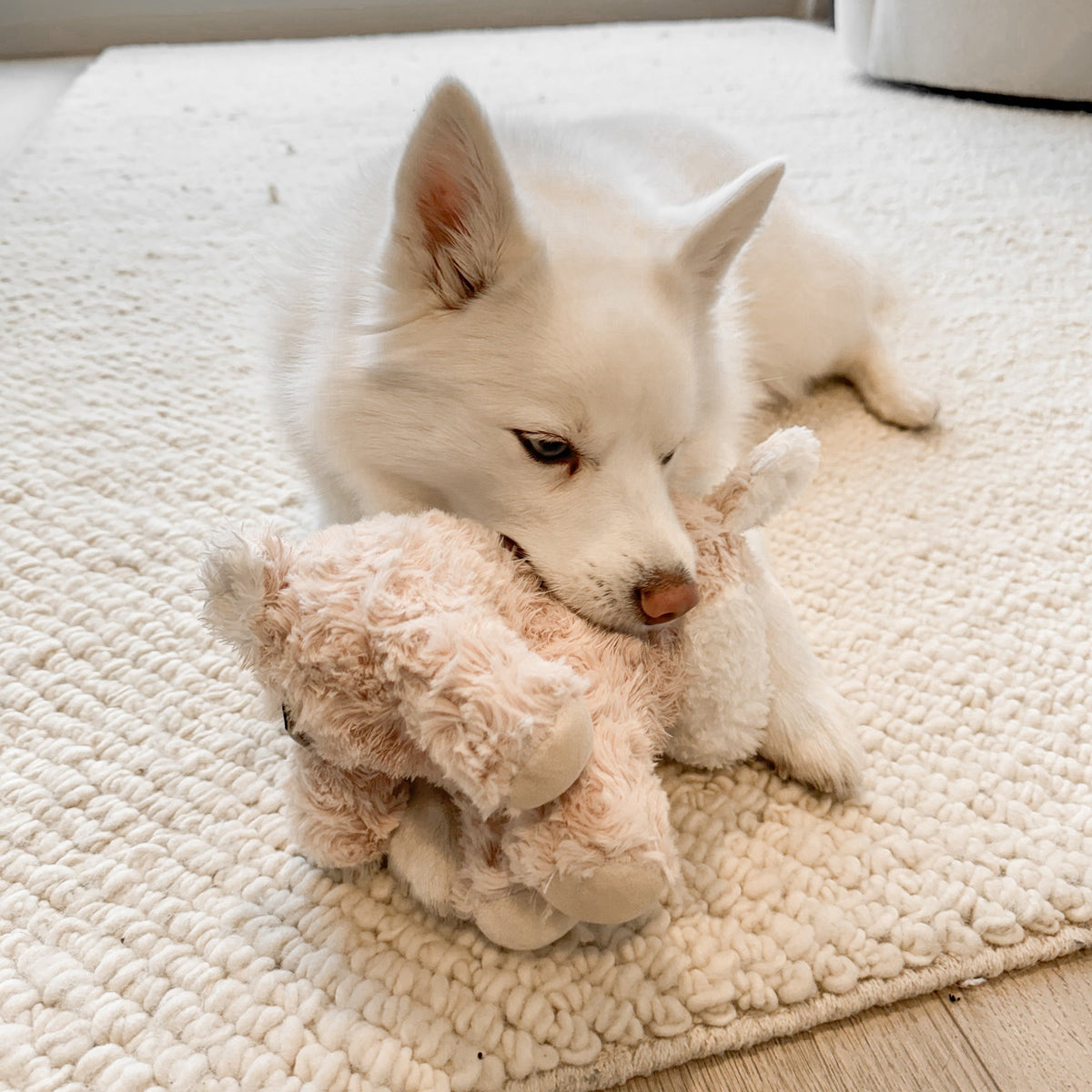 Fur Elise Vixi Plush Toy Set
