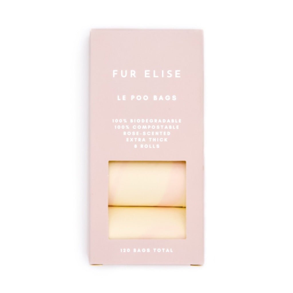 Fur Elise On-the-Go Walk Set - Rose