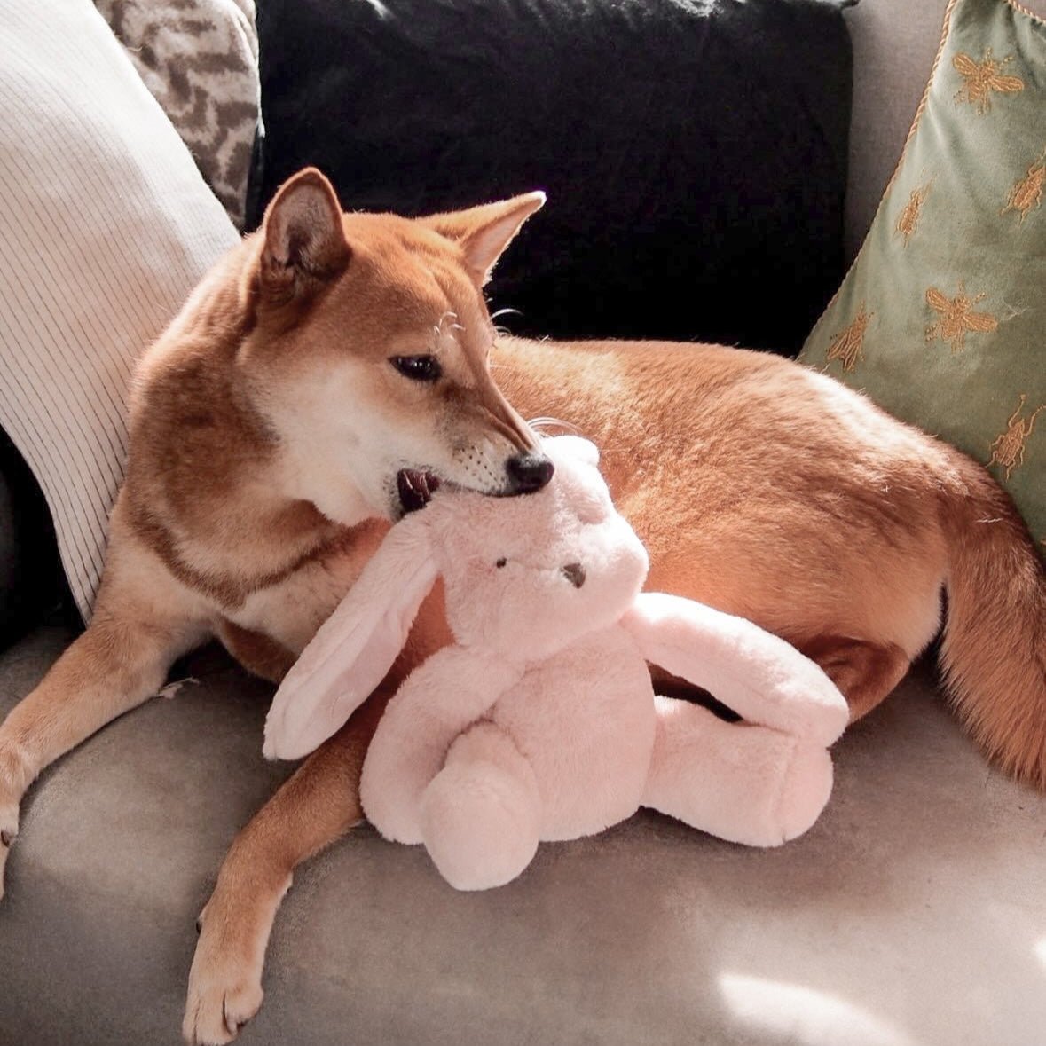 Fur Elise Ruby Plush Toy Set
